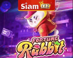 fortune rabit ícone